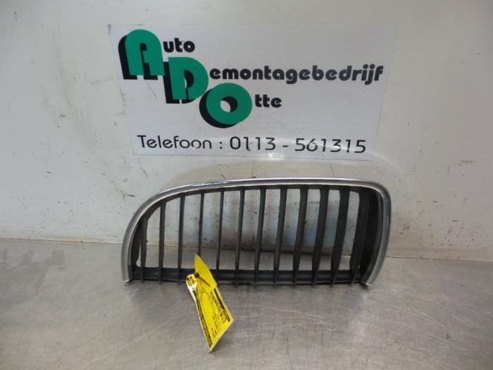 Calandre d'un BMW 3-Serie (3-Serie 04-), -, 3 mois de garantie, Utilisé, -