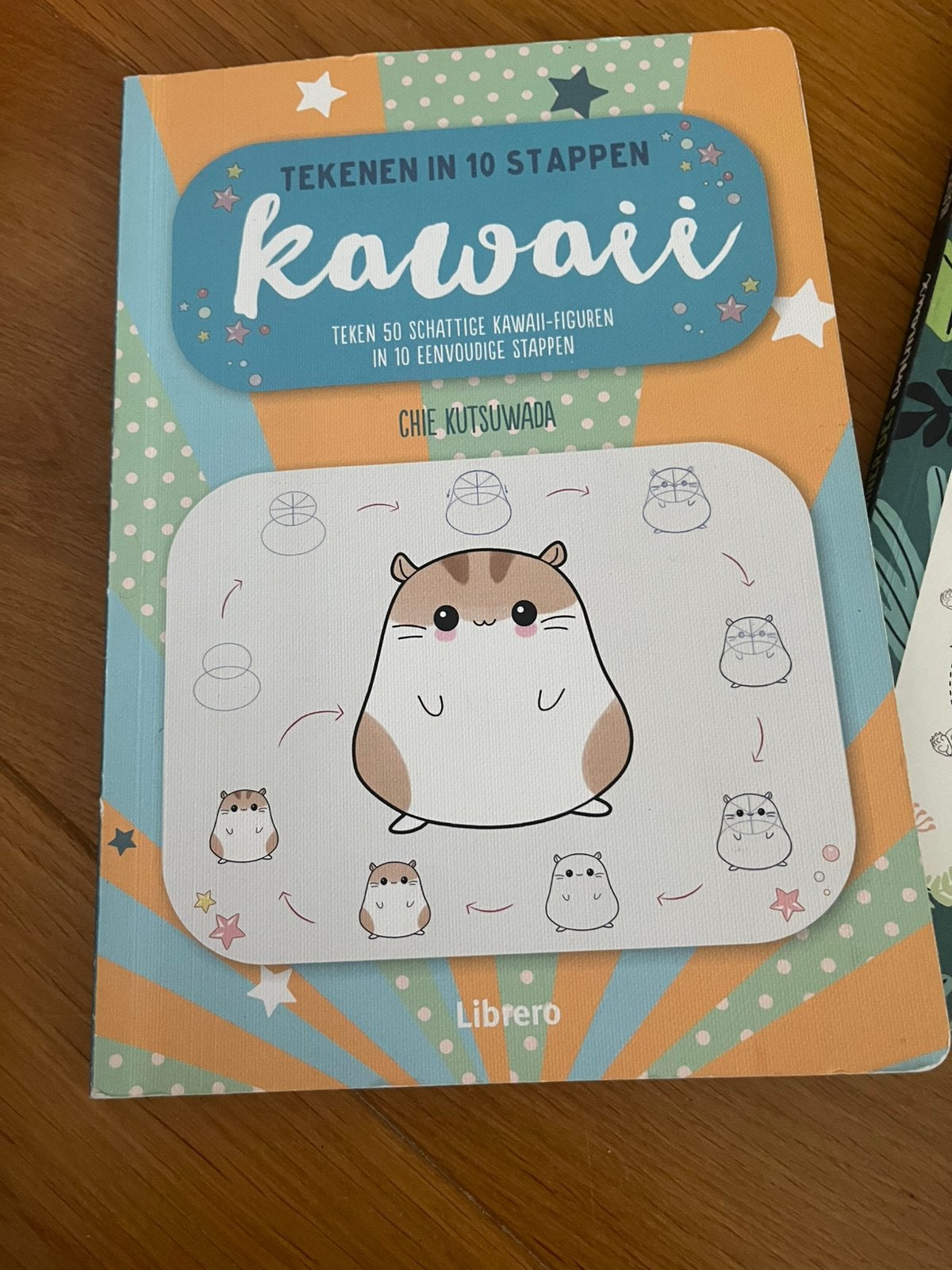 Kawai tekenboek in het Nederlands, Ophalen, Zo goed als nieuw, Boek of Gids