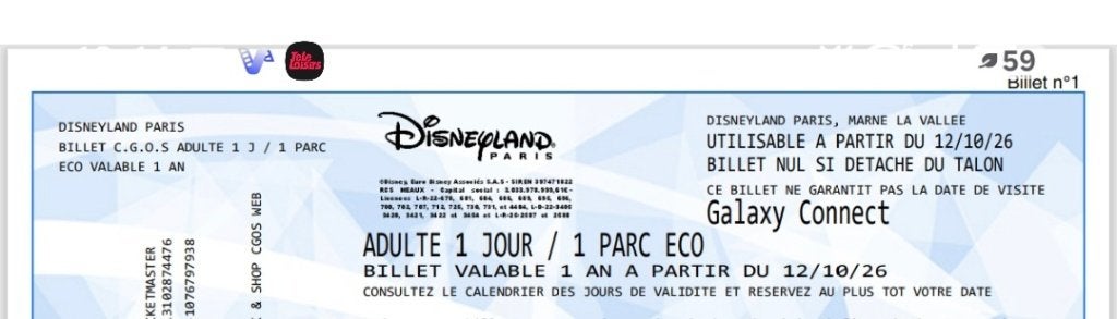 Billets disneyland paris, Tickets & Billets, Trois personnes ou plus, Autres types