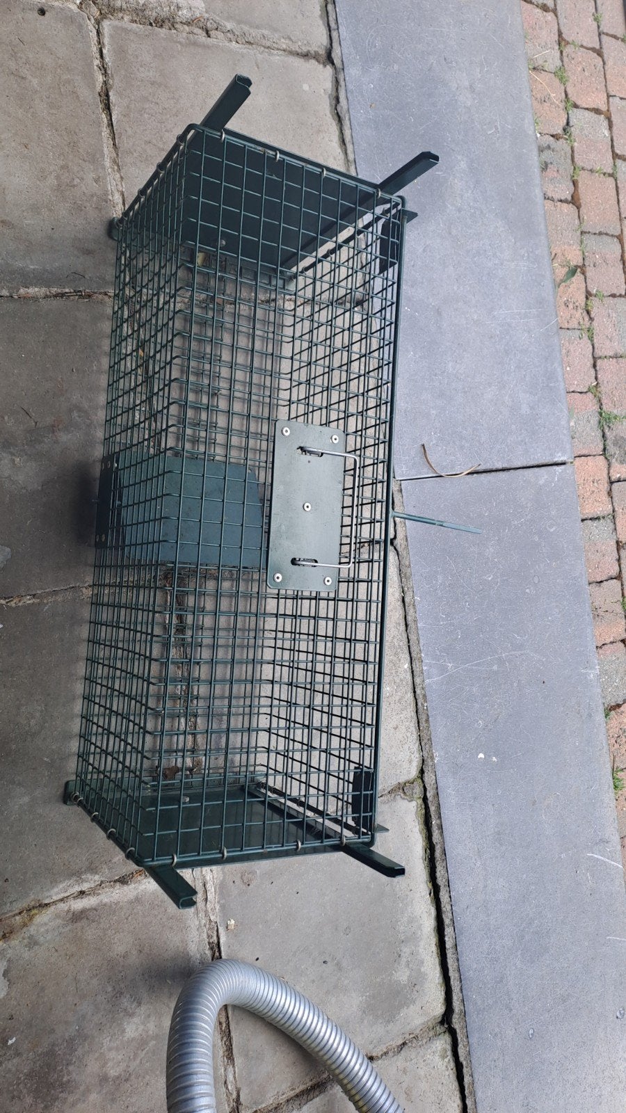 Piège à rats, Enlèvement