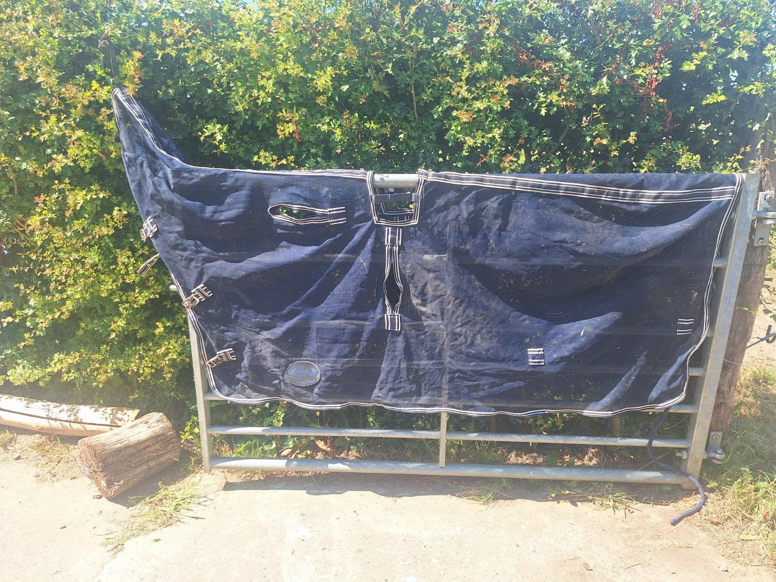 Vliegendeken voor het mennen
maat pony (gebruikt voor een Ha, Bleu, Enlèvement ou Envoi, Couverture anti-mouches, Comme neuf