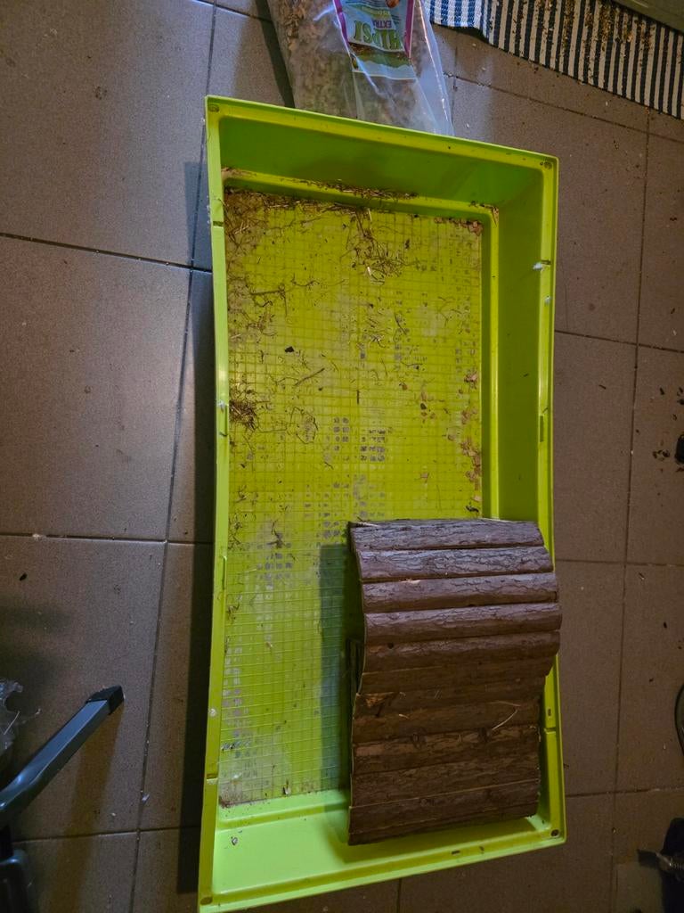 Kooi voor cavia 15€, Enlèvement, Cage, Cobaye