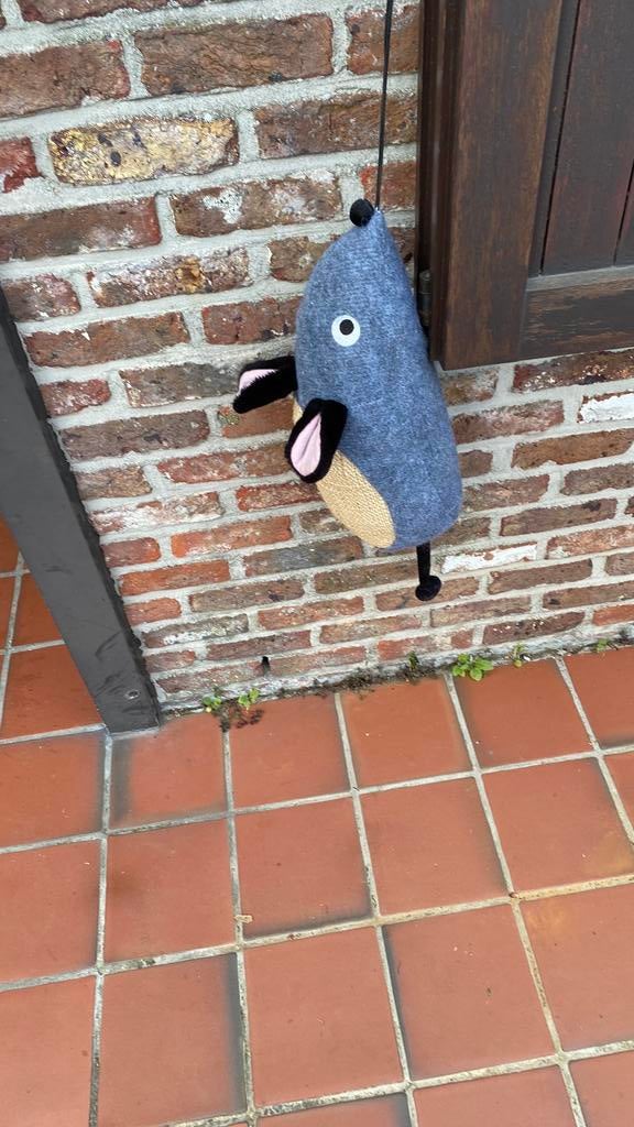 Krabmuis, Dieren en Toebehoren, Ophalen of Verzenden, Zo goed als nieuw