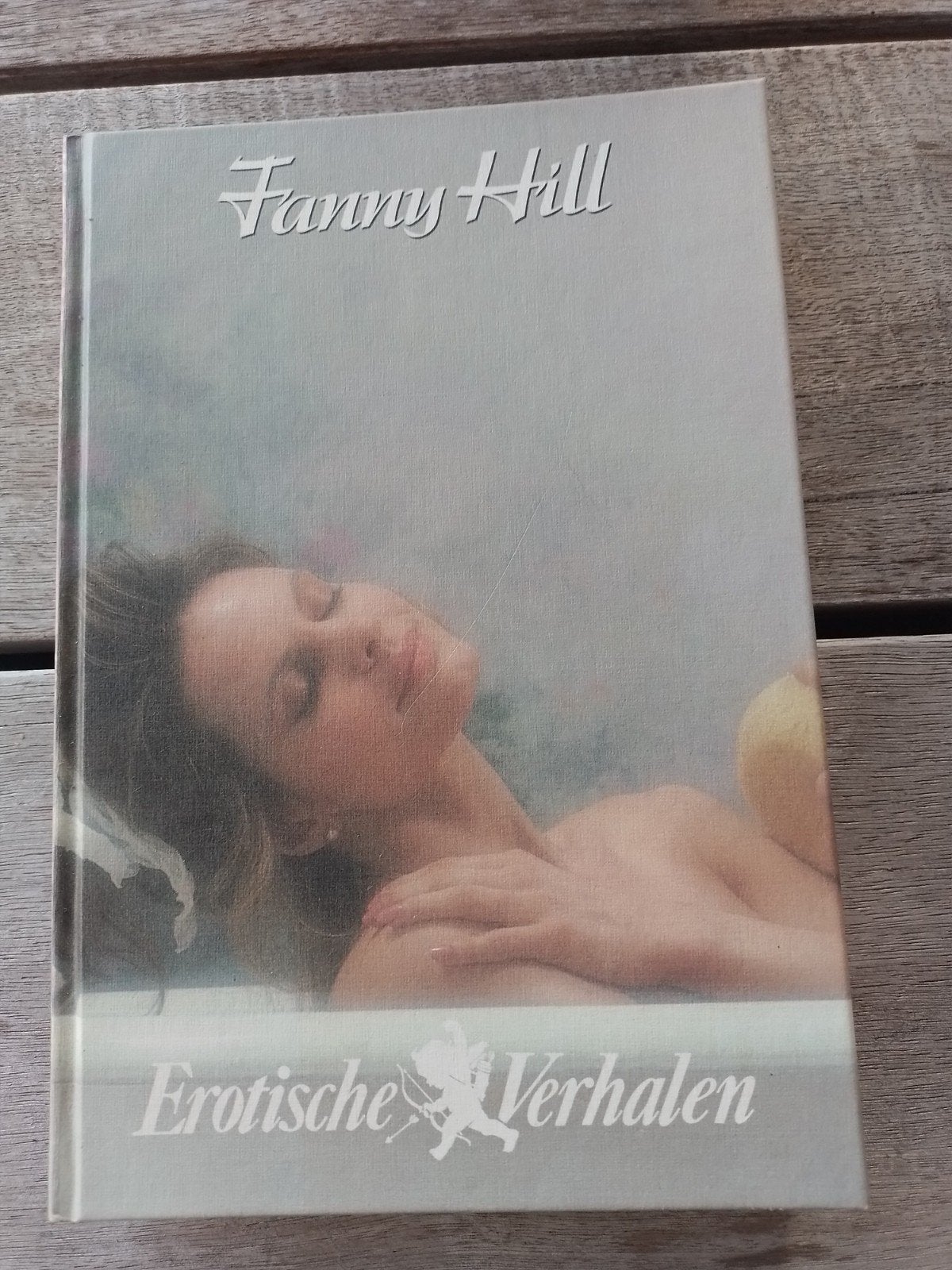 Boek  Fanny Hill, Ophalen of Verzenden
