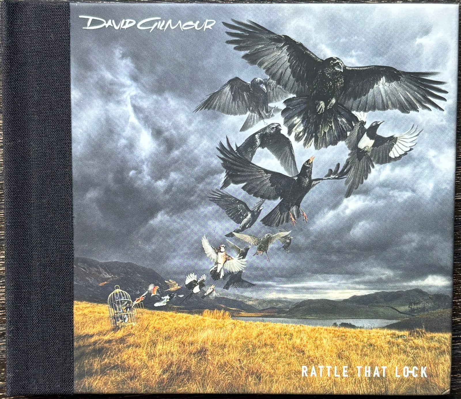 DAVID GILMOUR - Rattle That Rock, Enlèvement ou Envoi, Comme neuf