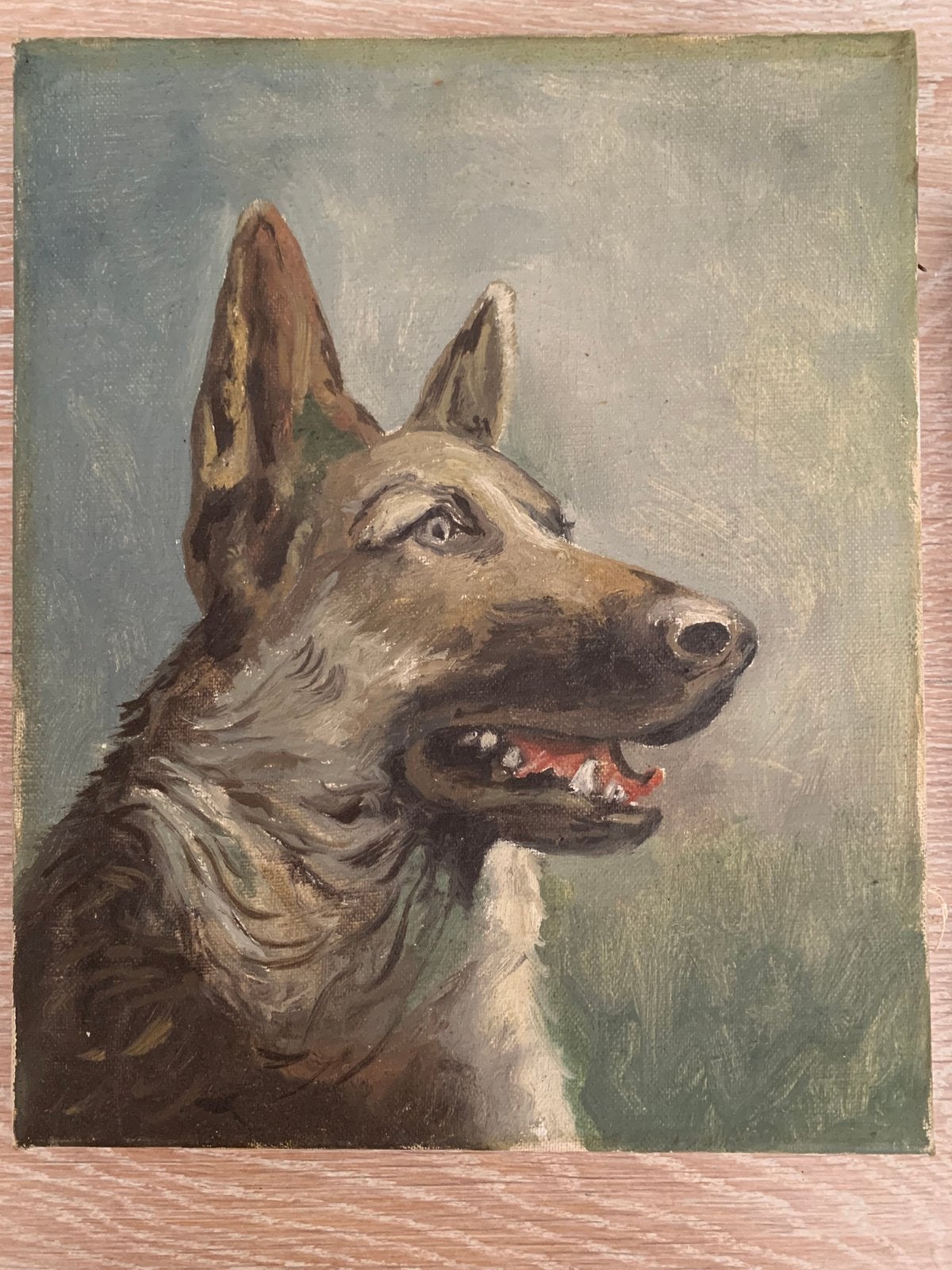 Schilderij op doek herdershond scheper hond, Ophalen of Verzenden, Gebruikt