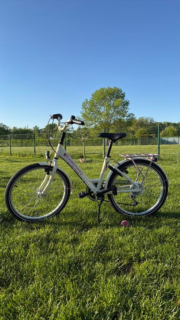 Girl power kinder fiets, Fietsen en Brommers, Ophalen, Zo goed als nieuw, Schijfrem