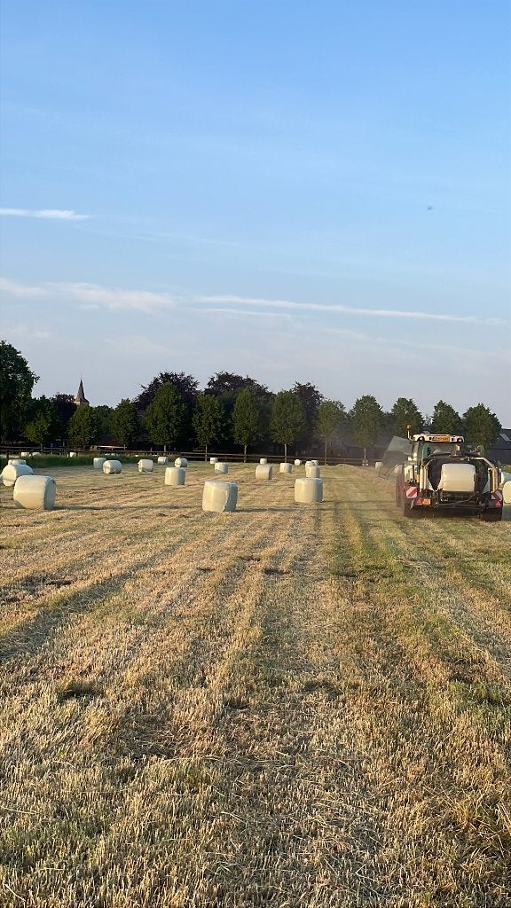 Rondebalen 100kg midibalen rollen eerste snede 2026bijnahooi, Ophalen, Knaagdier of Konijn