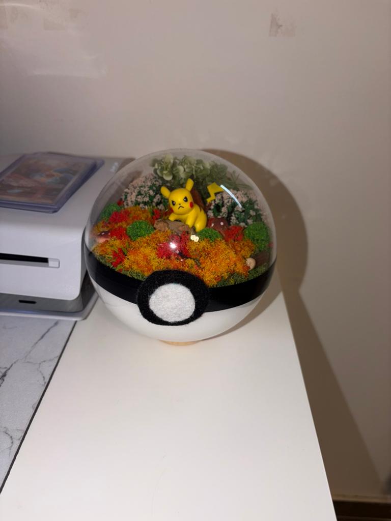 Pikachu pokeball decoratie, Enlèvement, Neuf, Autres types