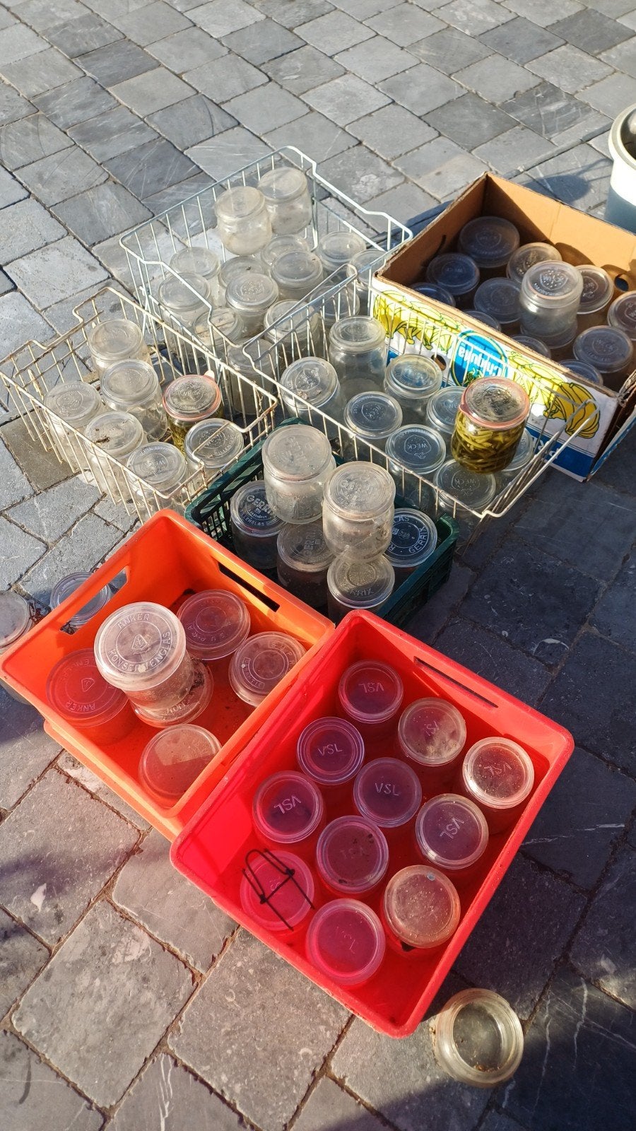 lot de 70 bocaux de conservation, pots de stérilisation, boc, Enlèvement