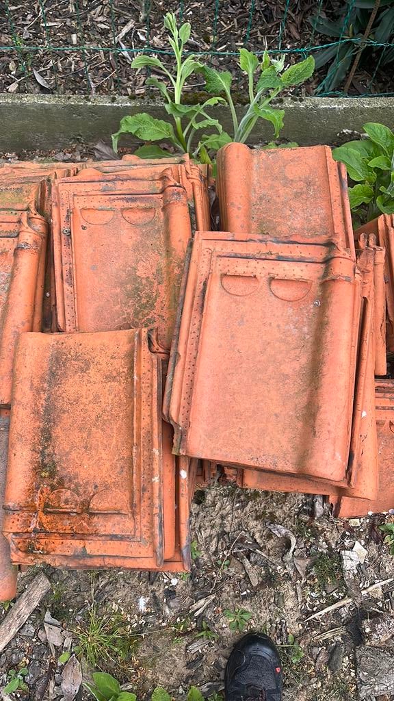 DAKPAN - STERREBERG COURTRAI – MADE IN BELGIUM, Doe-het-zelf en Bouw, Dakpannen en Dakbedekking, Ophalen, Steen of Klei, Zo goed als nieuw