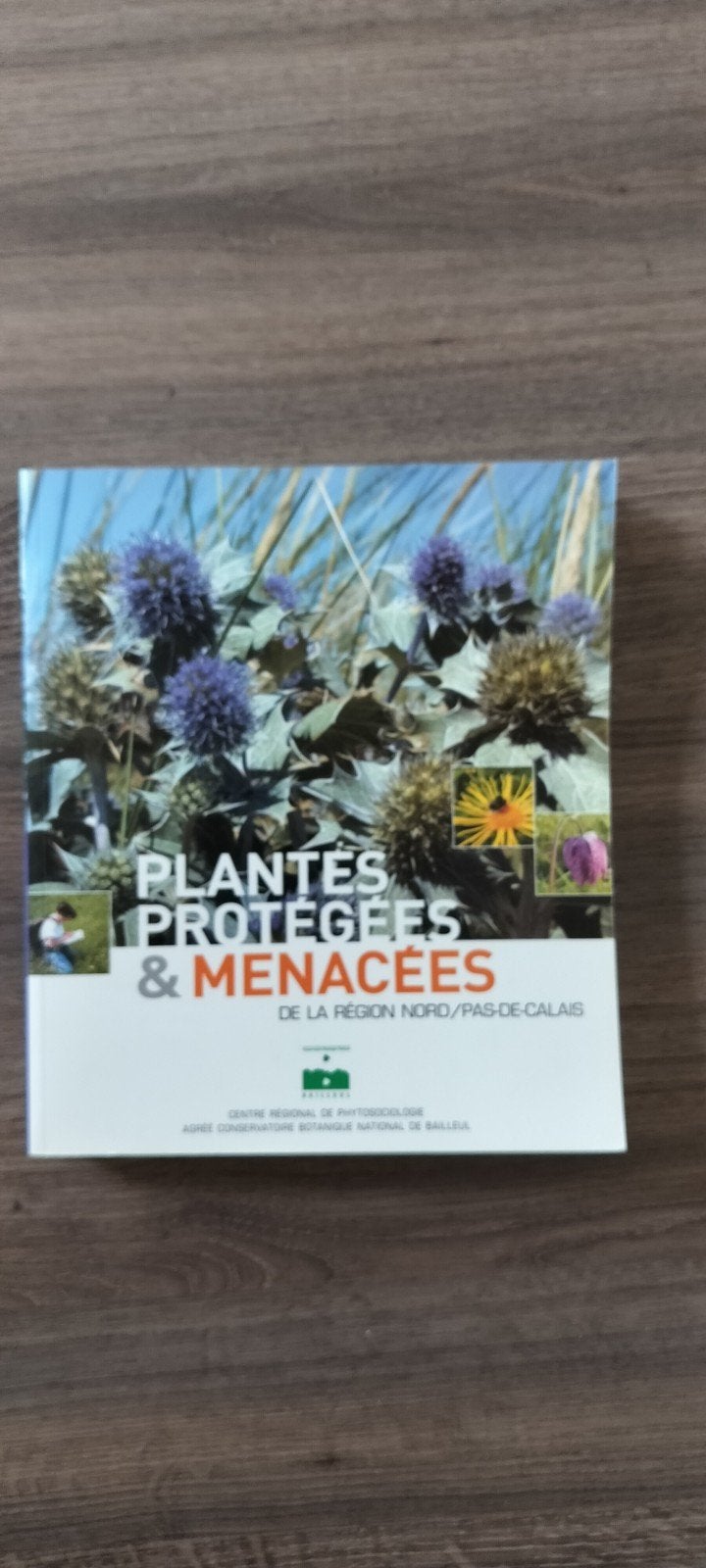 plantjes protégées er menacées Nord/Pas de Calais, Enlèvement