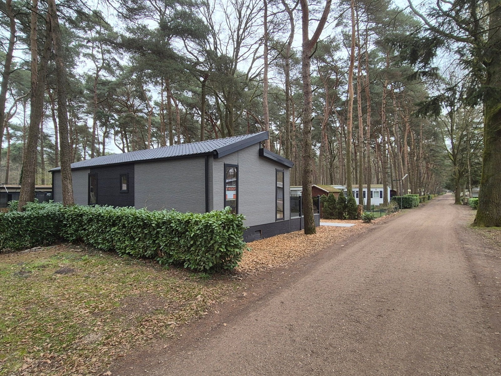 recreatiewoning 12x5 zéér luxe nieuw 2026 op park 365 dgn pj, Jusqu'à 4