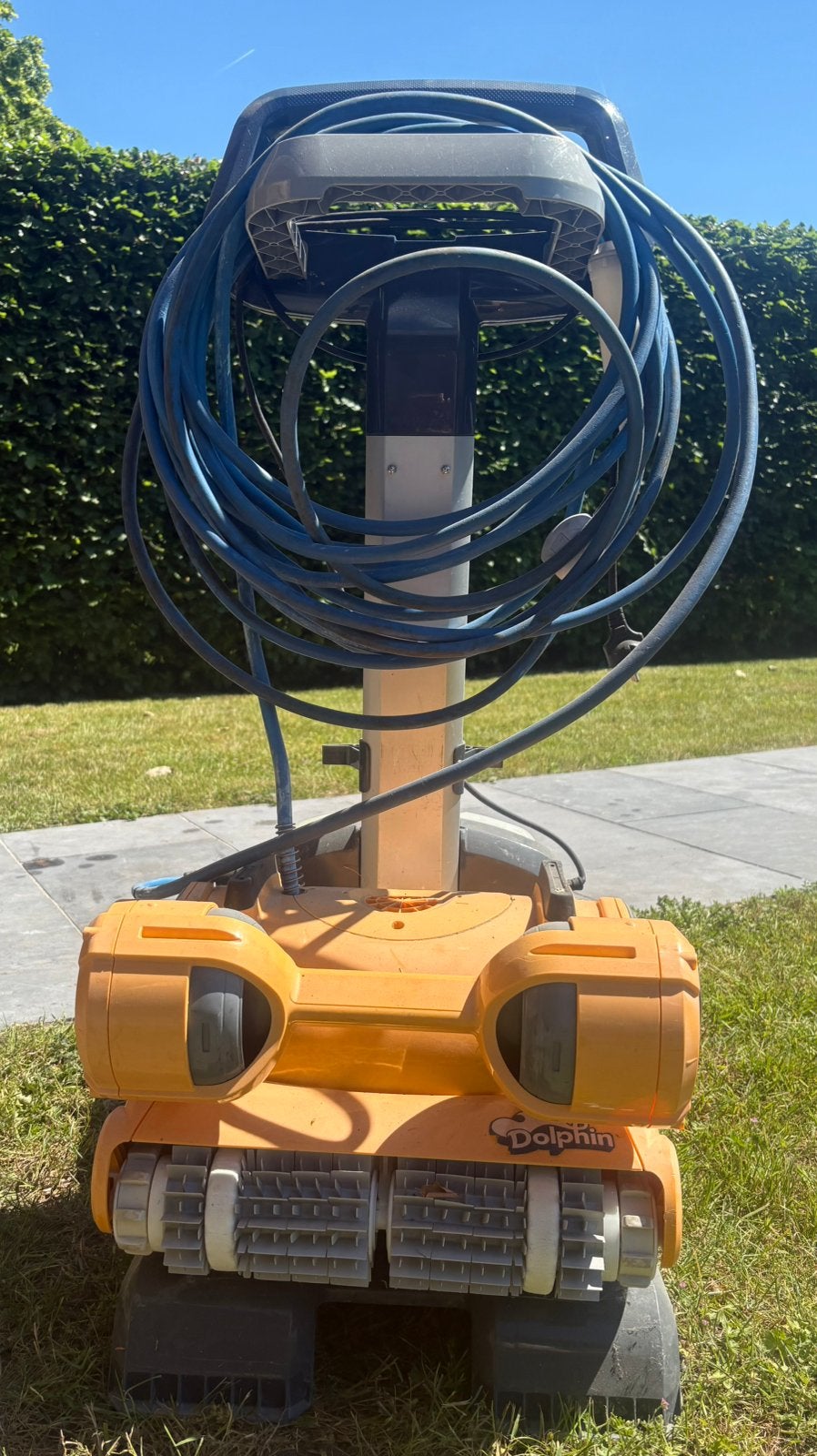 Zwembadrobot Dolphin, Jardin & Terrasse, Accessoires de piscine, Utilisé, Enlèvement
