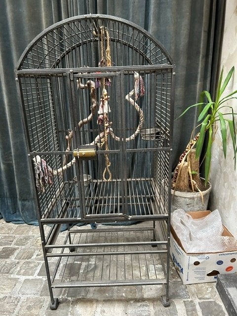 papegaaikooi metaal, Animaux & Accessoires, Perroquet