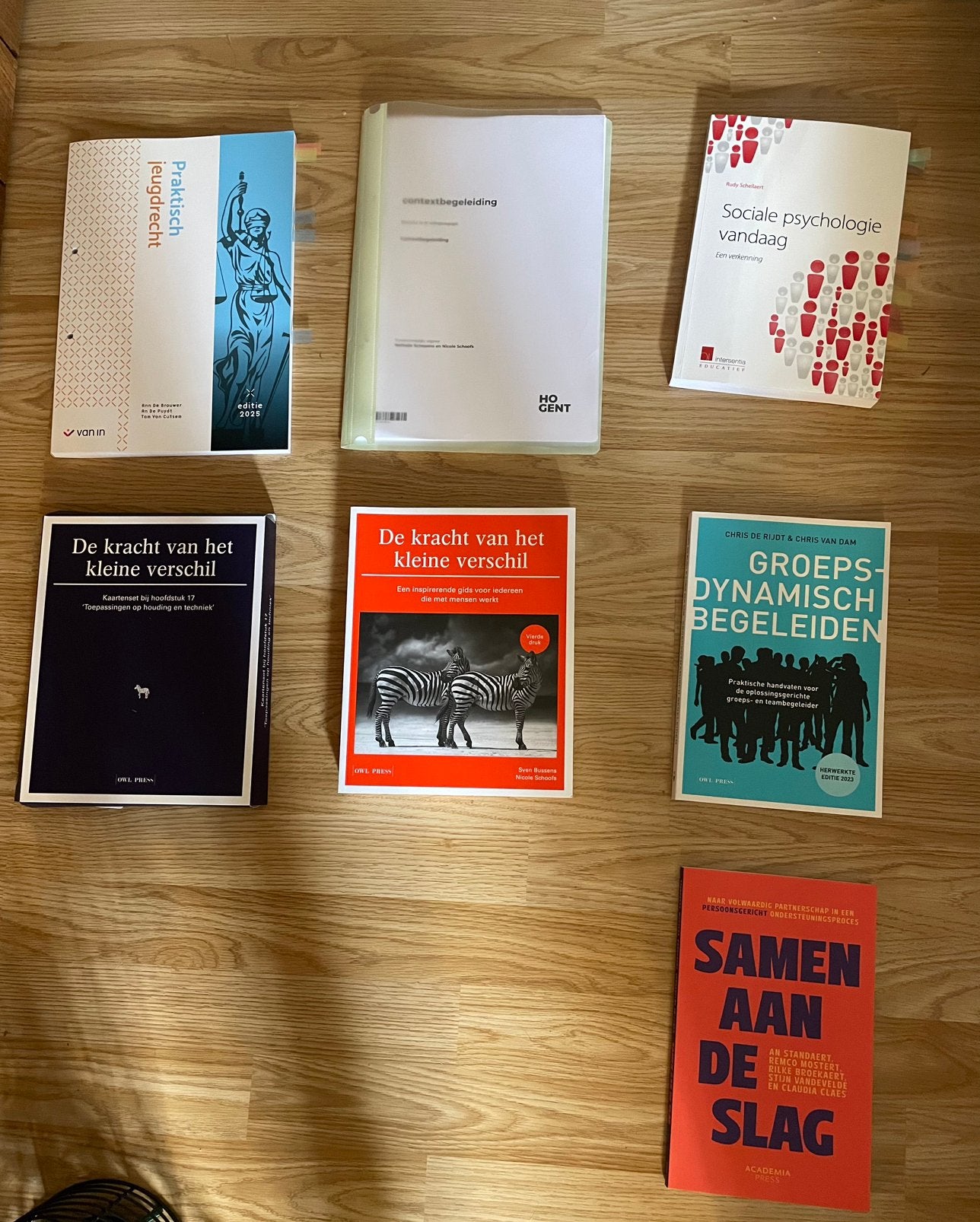 Boeken 2e jaar Orthopedagogie, Enlèvement, Comme neuf