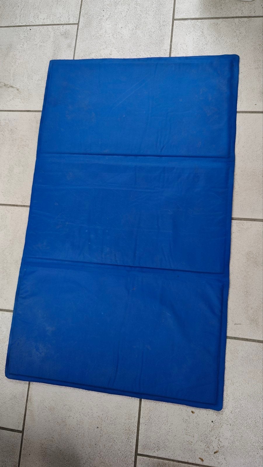 Koelmat 100 x 60 cm, Dieren en Toebehoren, Ophalen