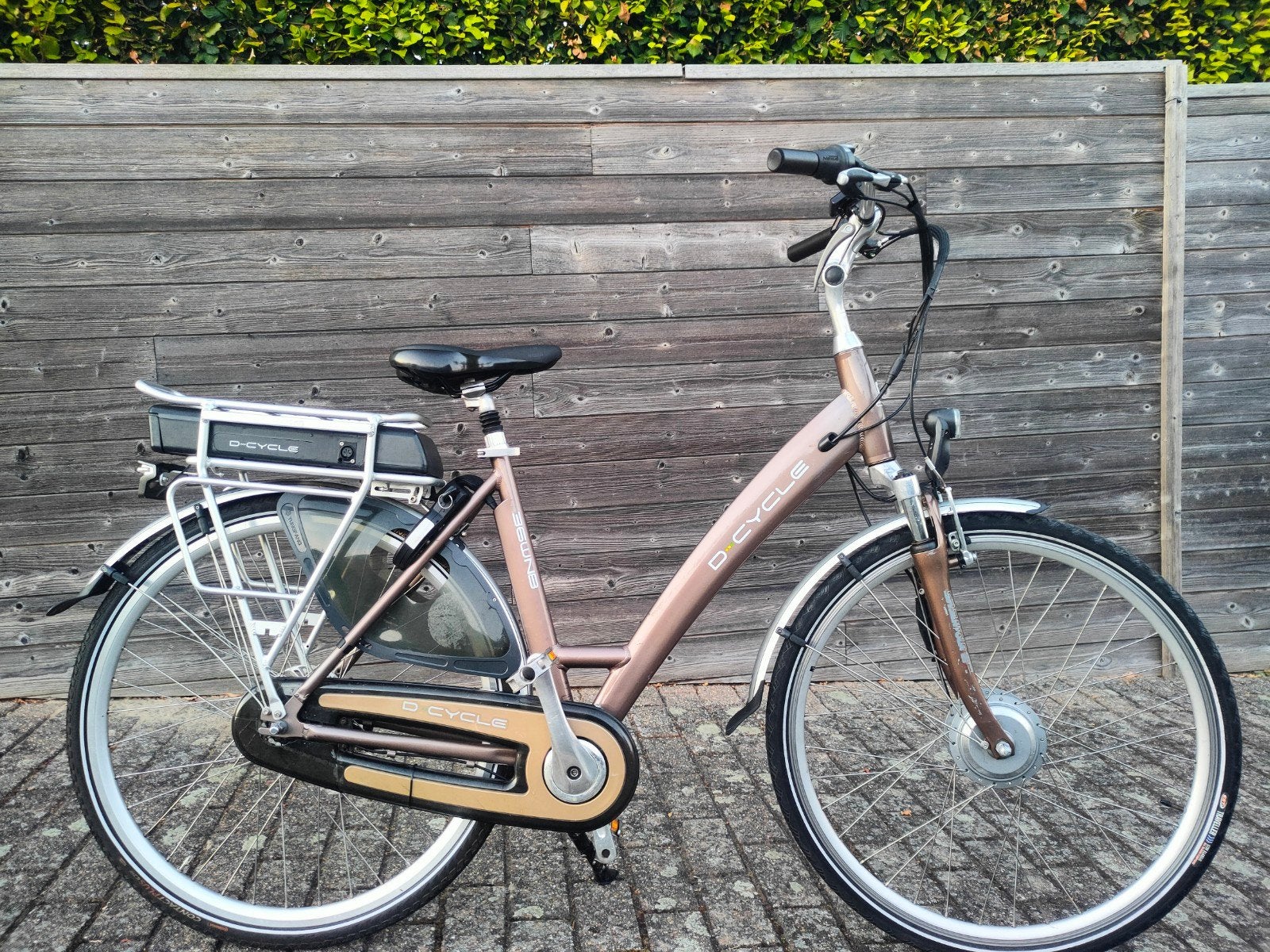 Vélo électrique D-cycle Vélo électrique pour femmes, Vélos & Vélomoteurs, Enlèvement