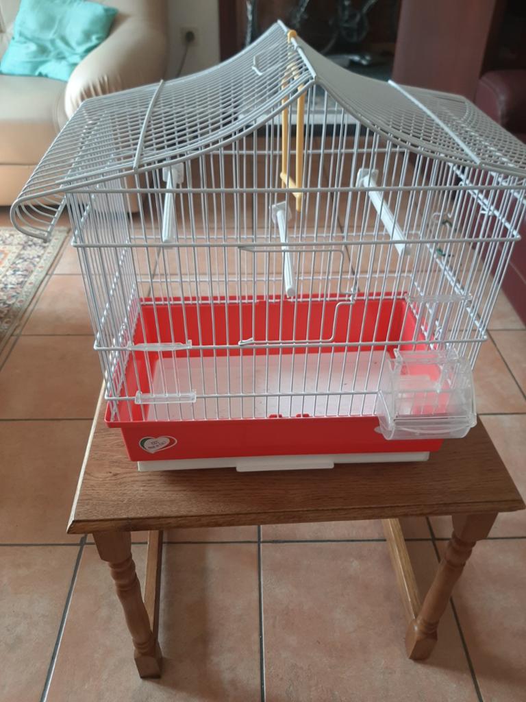 Cages oiseaux, Dieren en Toebehoren, Ophalen