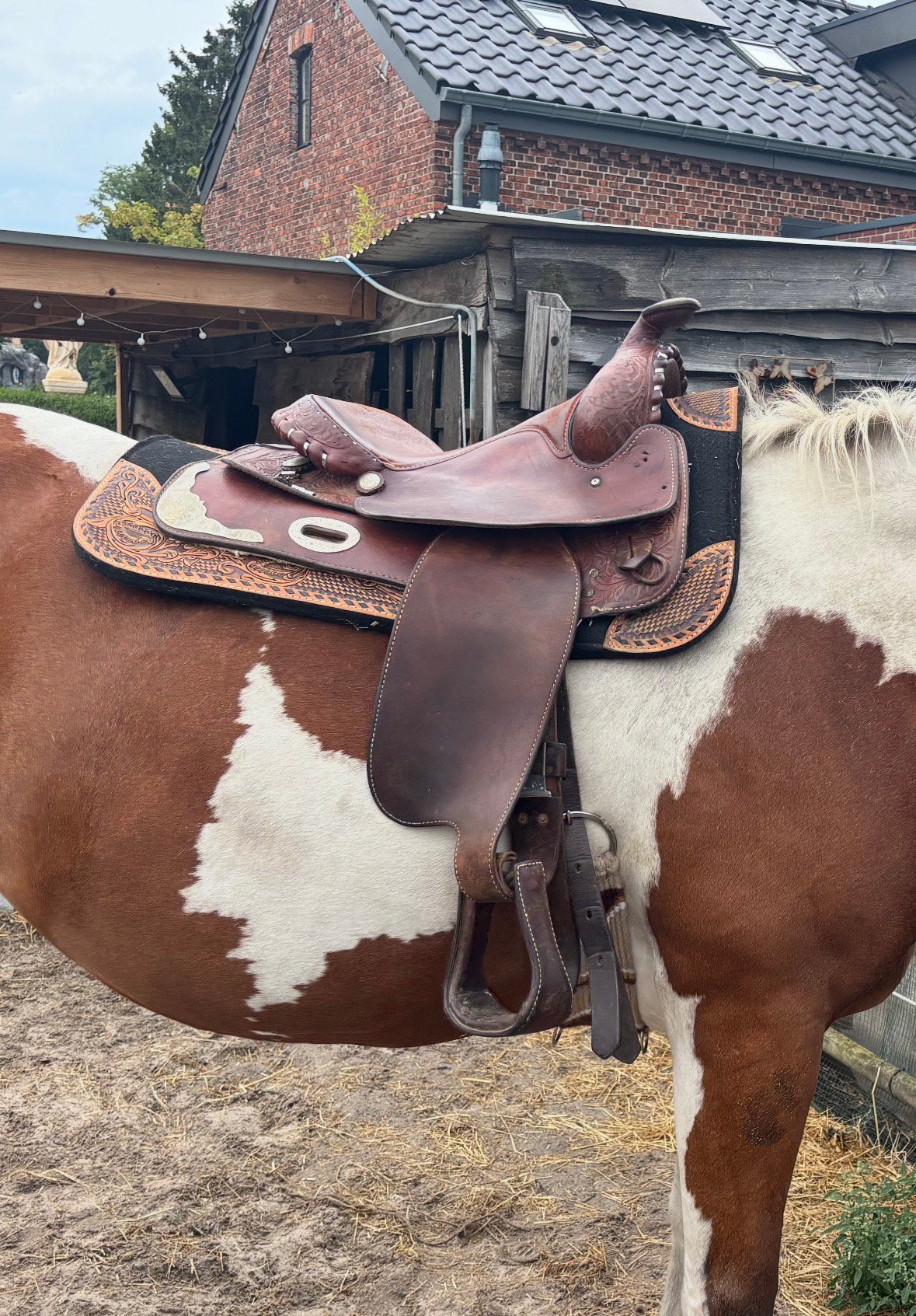 Westernzadel simco, Dieren en Toebehoren, Ophalen of Verzenden, Gebruikt, Overige disciplines