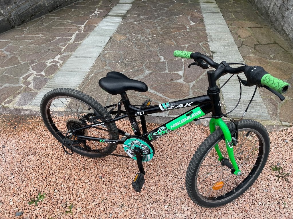 Vélo 20 pouces enfant (6-9 ans), Fietsen en Brommers, Ophalen, 20 inch of meer, Gebruikt, Velgrem
