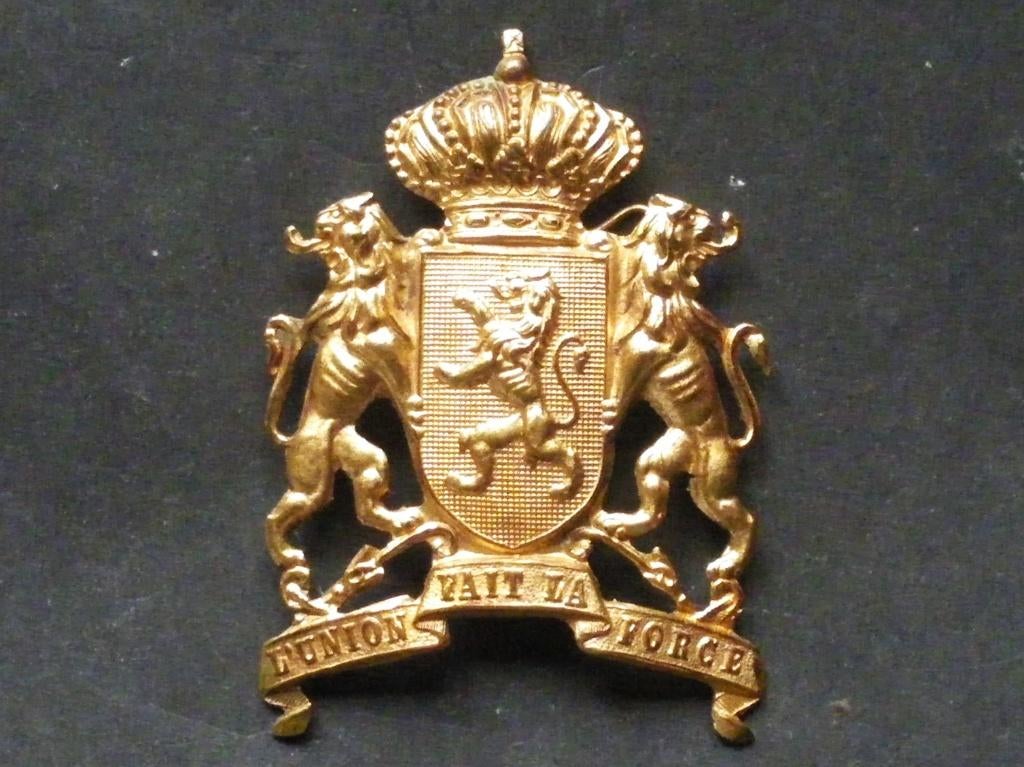 Plaque à tigettes pour le casque du Congo colonial belge, Collections, Envoi, Armée de terre, Emblème ou Badge