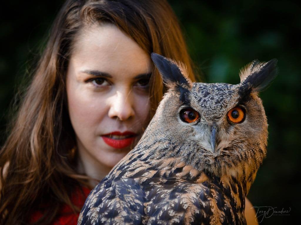 Shooting photo avec rapace – Expérience nature, Enlèvement, Neuf
