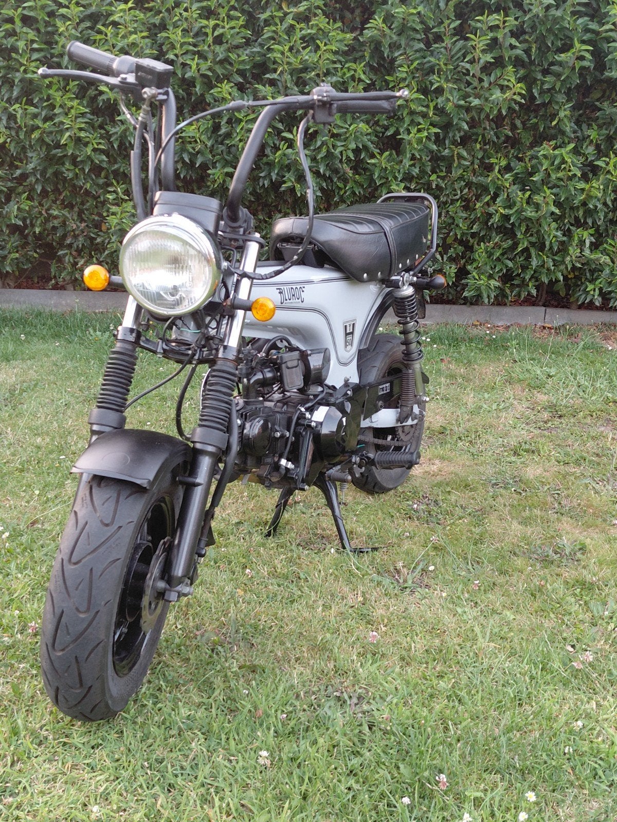 Dax skyteam van bluroc 50cc, Enlèvement