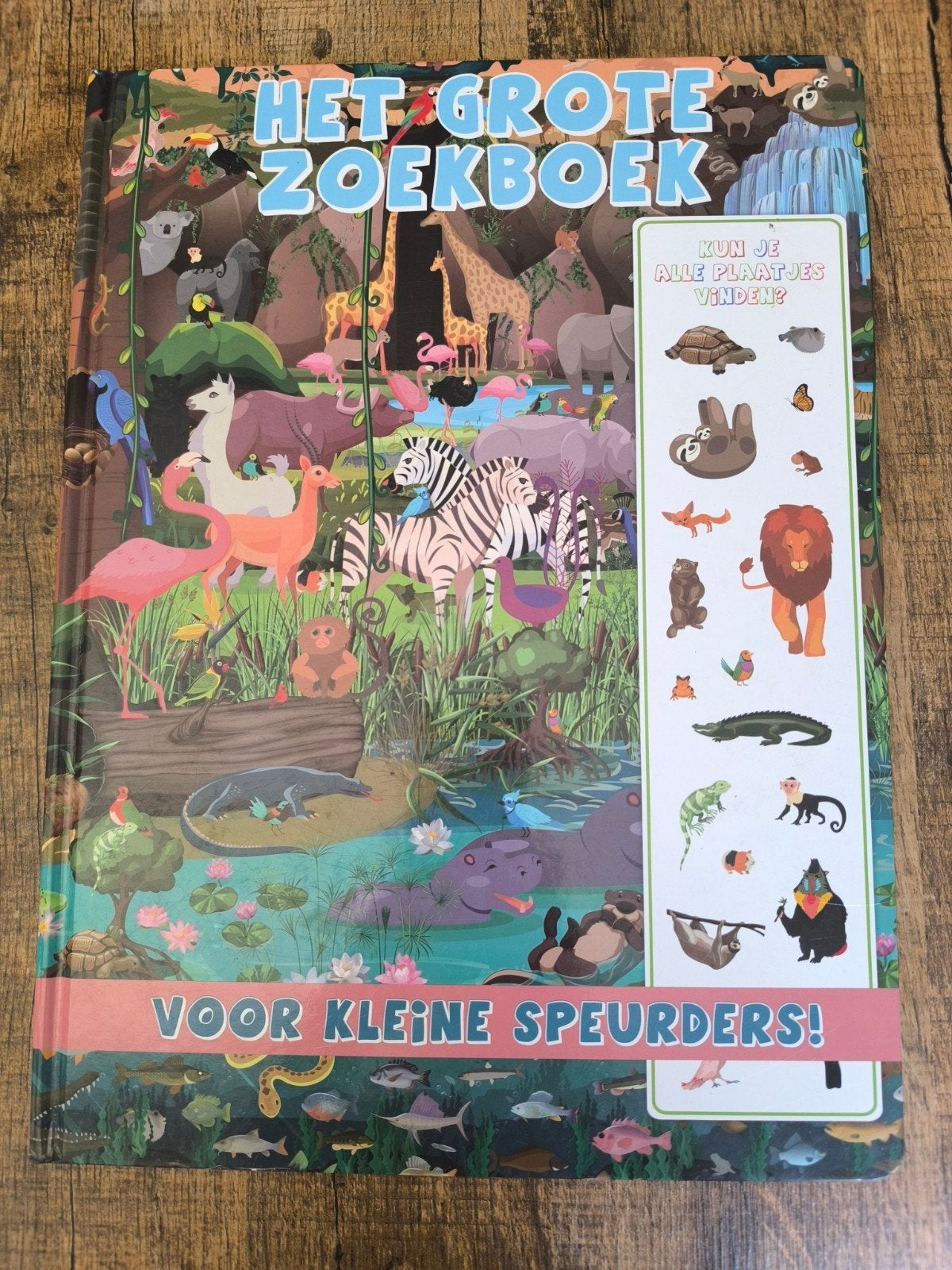 Het grote zoekboek voor kleine speurders, Fictie algemeen, Jongen of Meisje, 4 jaar, Anchor International B.V.