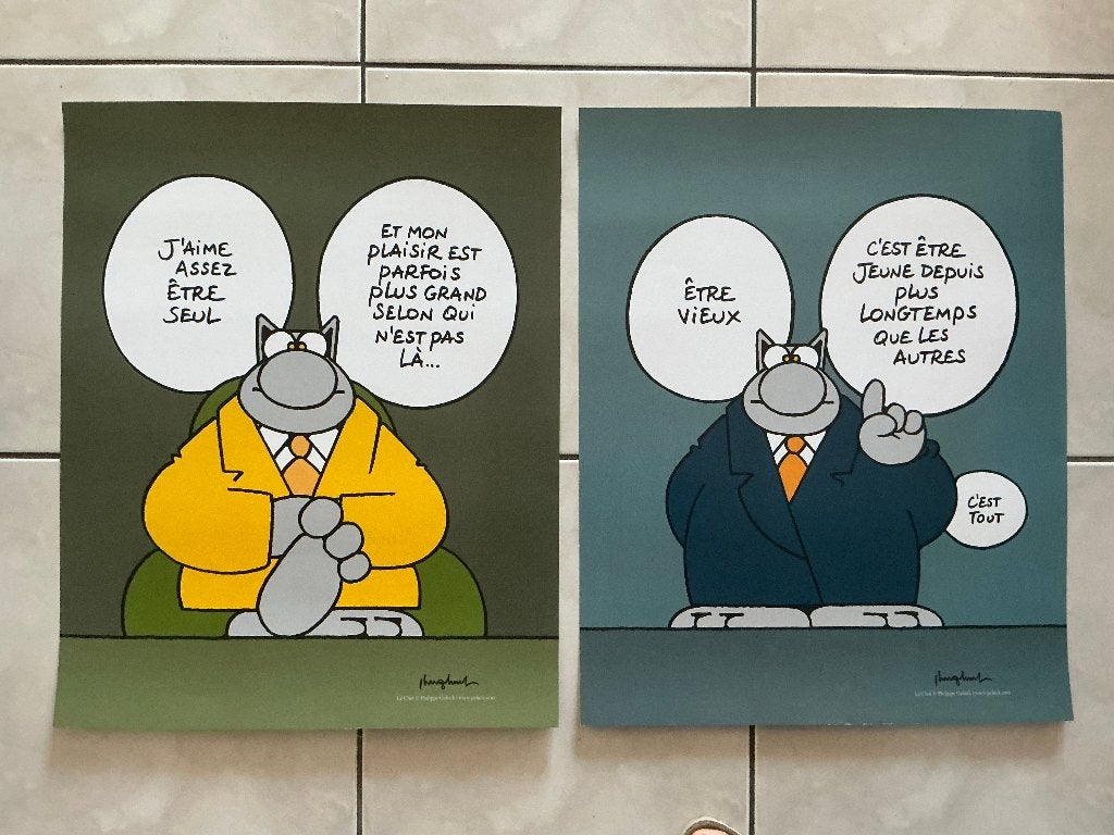 4 posters van Philippe Geluck, zie beschrijvingen en foto's., Verzamelen, Deurposter of groter, Ophalen of Verzenden, Overige onderwerpen