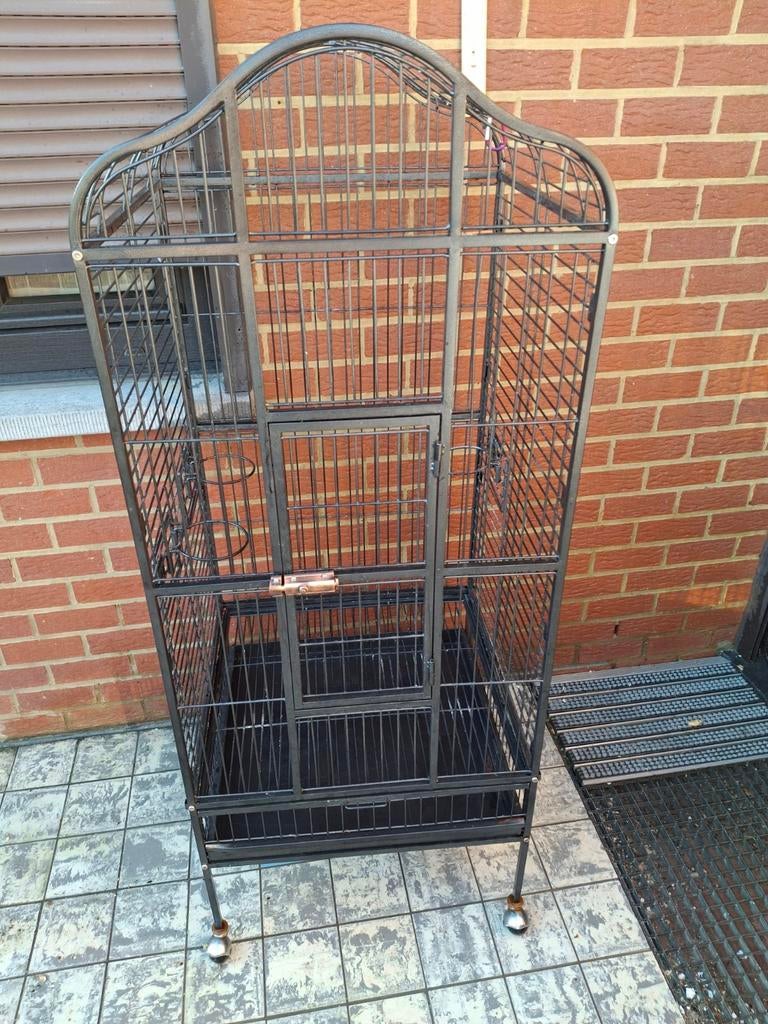 Cage à perroquet (oiseaux), Enlèvement, Utilisé, Métal, Cage à oiseaux