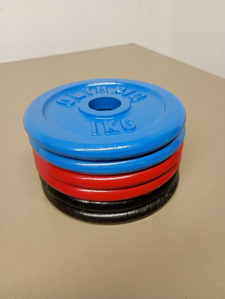 Set van 6 halter schijven van 1kg, Sports & Fitness, Enlèvement, Neuf, Dos, Plaques d'haltères