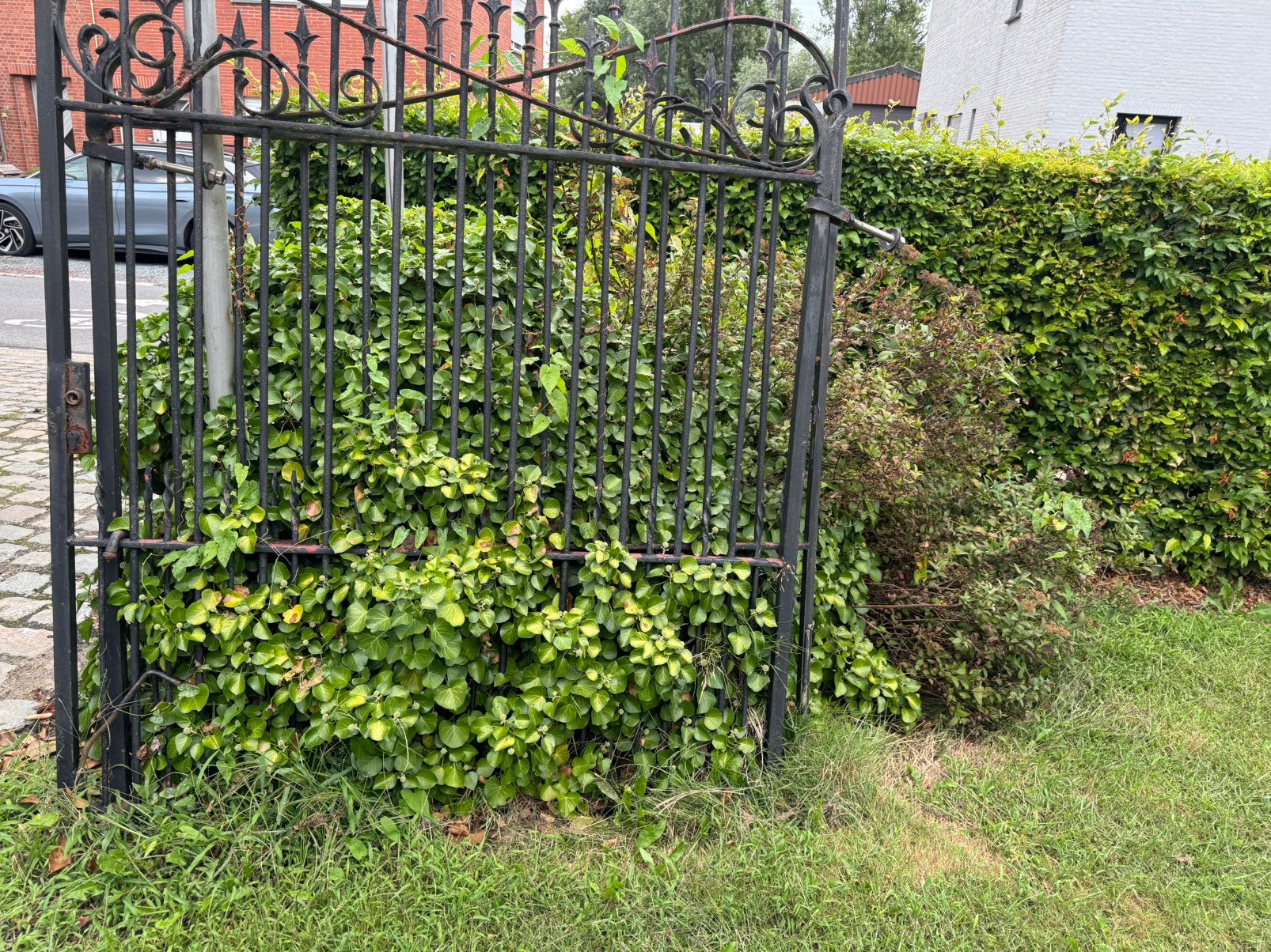 Metalen poort met gietijzeren palen, Clôture ornementale, Enlèvement, Avec portail, Utilisé