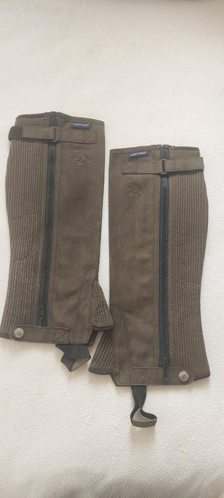 Harry's Horse mini bruine chaps maat XL, Ophalen, Gebruikt, Dames, Bovenkleding