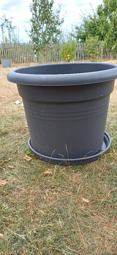 Grand pot en plastique de couleur grise marque  " elho", 40 cm ou plus, 40 à 70 cm, Rond, Comme neuf