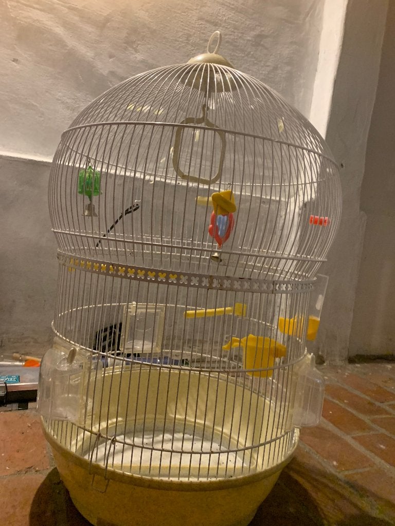 Vogel kooi, Ophalen, Gebruikt, Vogelkooi