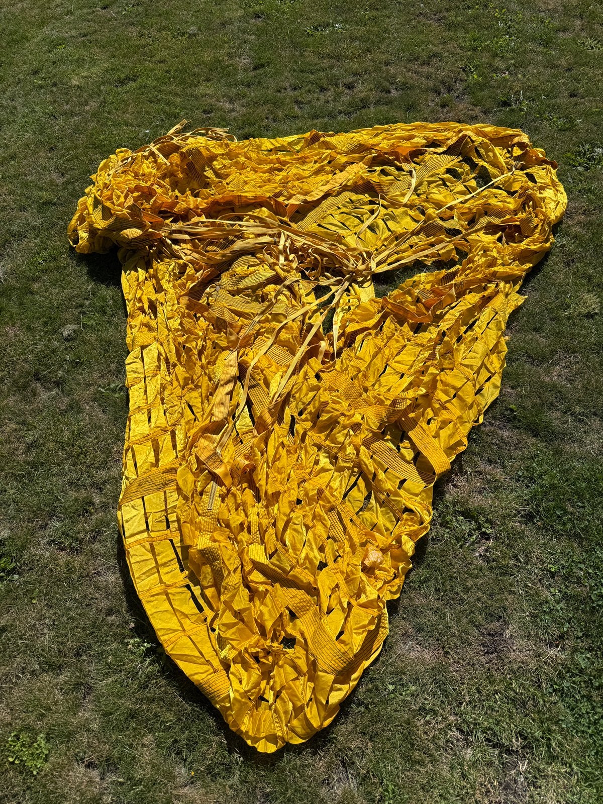 parachute des années 1980, Animaux & Accessoires, Reptiles & Amphibiens