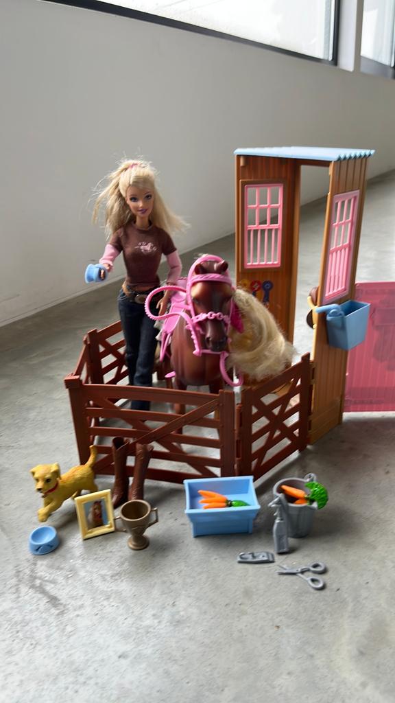 Barbieset Dream stable met paard, pop, stal en  accesoires, Enlèvement, Utilisé, Barbie