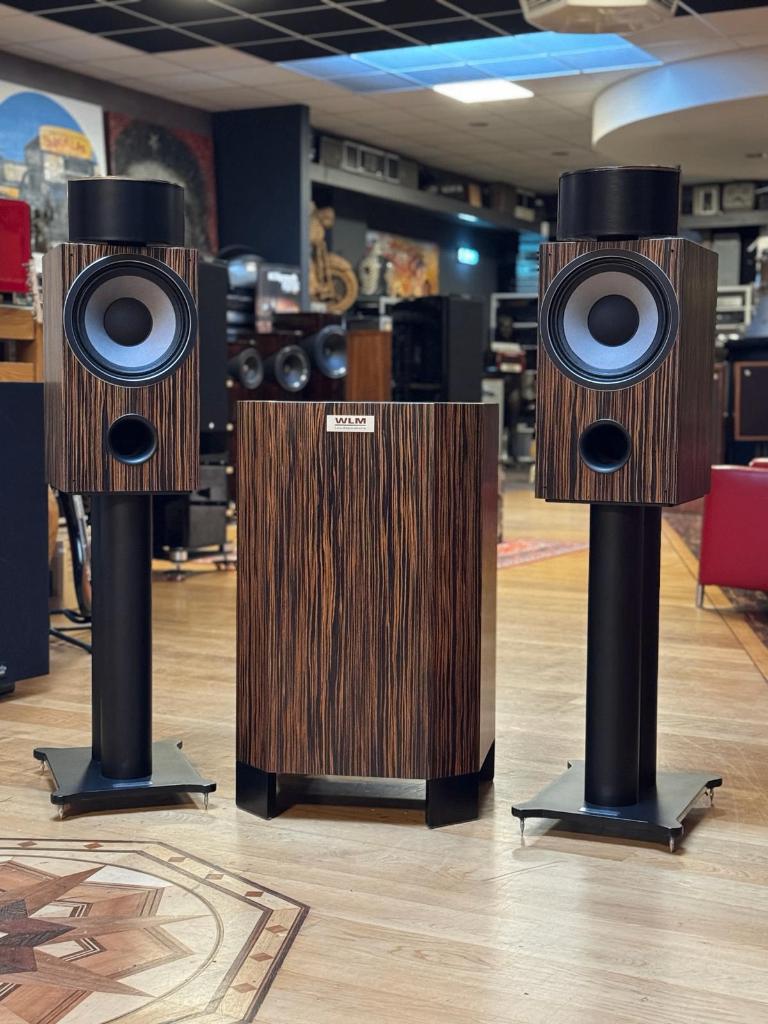 WLM Gran Viola Monitor Signature SuperPac + Duo 18 Subwoofer, Audio, Tv en Foto, Luidsprekerboxen, Ophalen, Gebruikt, Front, Rear of Stereo speakers