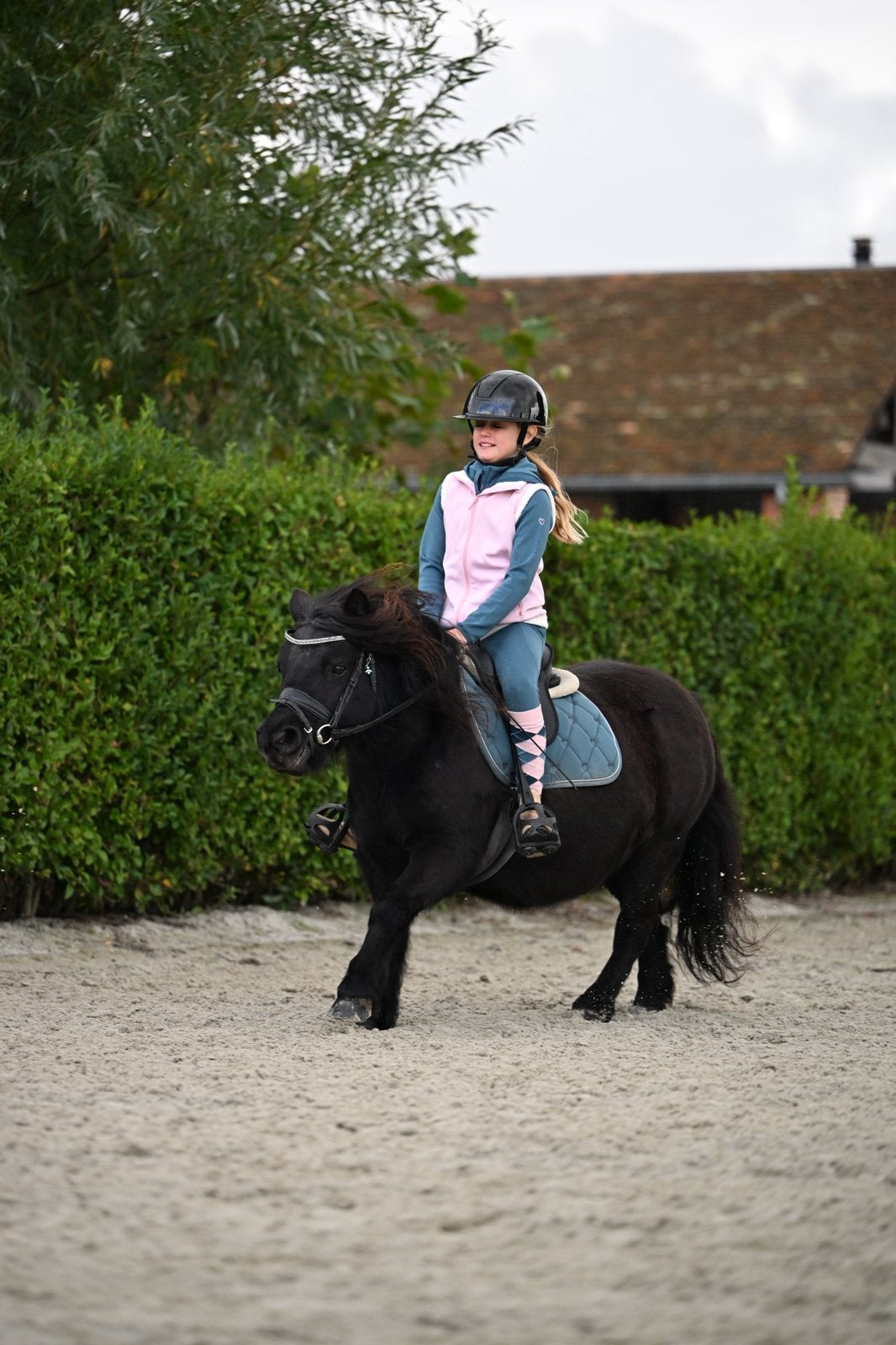 Lieve grote shetlander merrie kinderpony, Dieren en Toebehoren, Merrie, Met stamboom, Zadelmak, A pony (tot 1.17m)