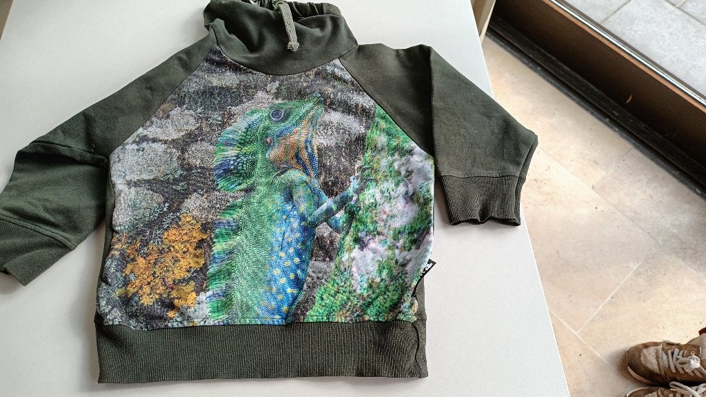 Chandail - Tailles 98-104, Garçon ou Fille, Enlèvement ou Envoi, Pull ou Veste, Utilisé