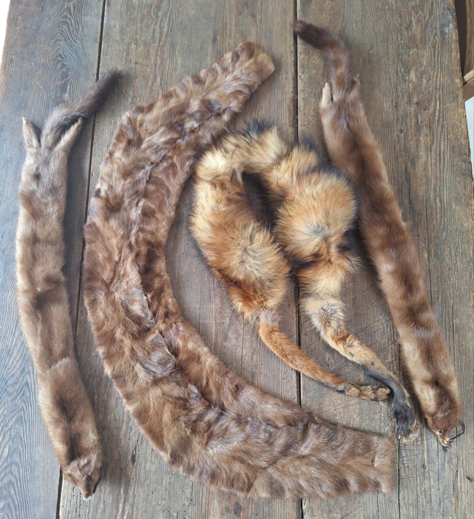 Lot bont nerts vos, Antiek en Kunst, Antiek | Kleding en Textiel, Ophalen of Verzenden