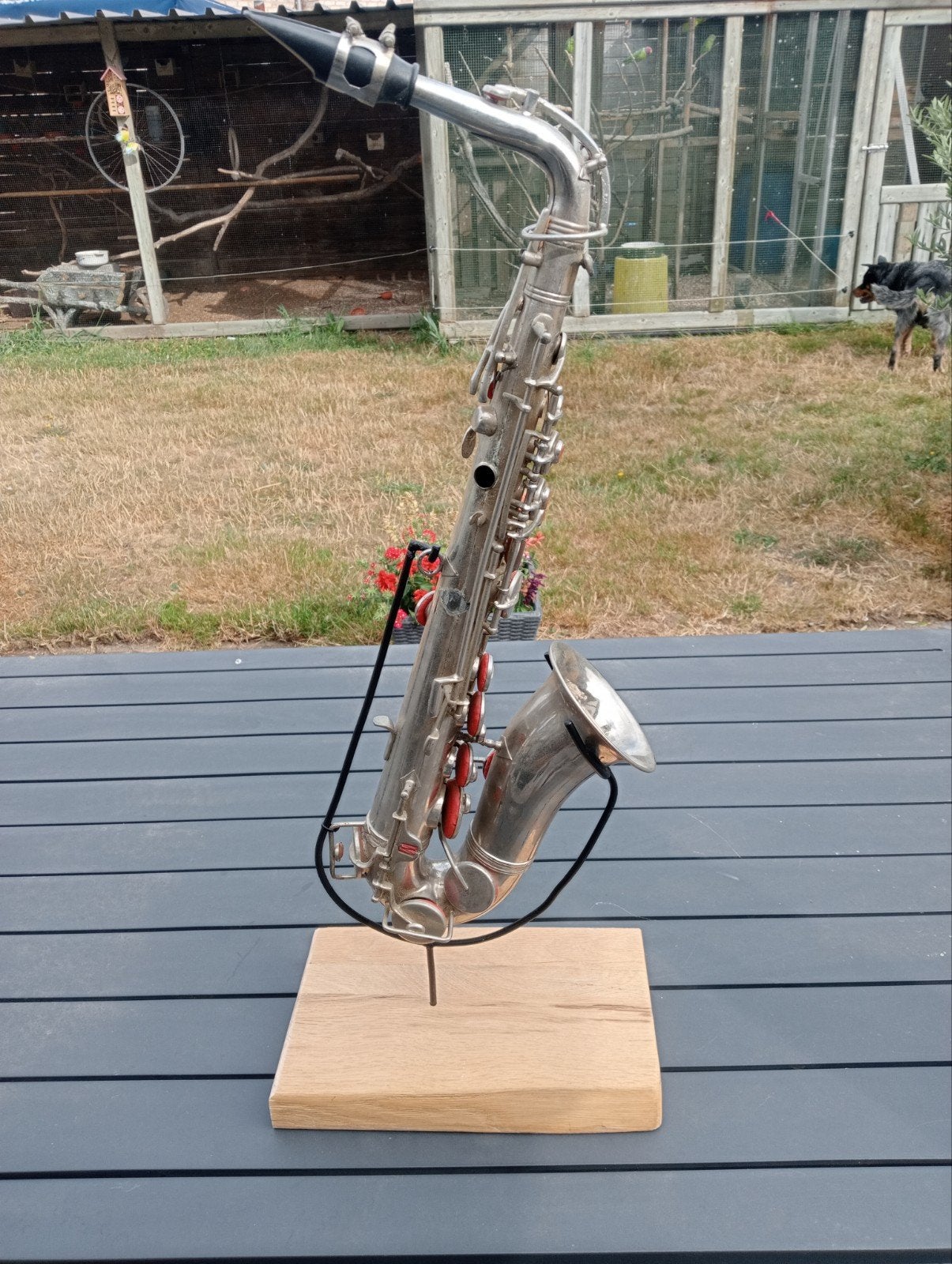 saxofoon, Musique & Instruments, Instruments à vent | Saxophones, Enlèvement