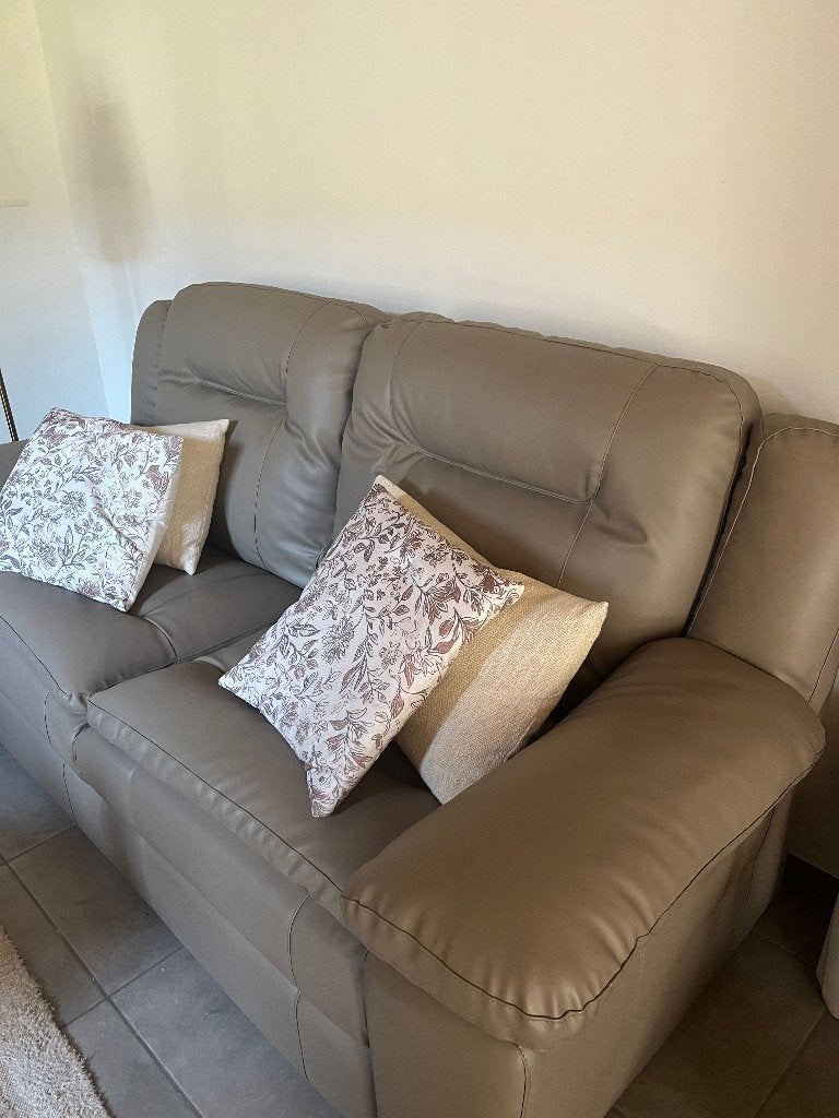 Fauteuil 2 places, 75 à 100 cm, Comme neuf, Enlèvement, Cuir