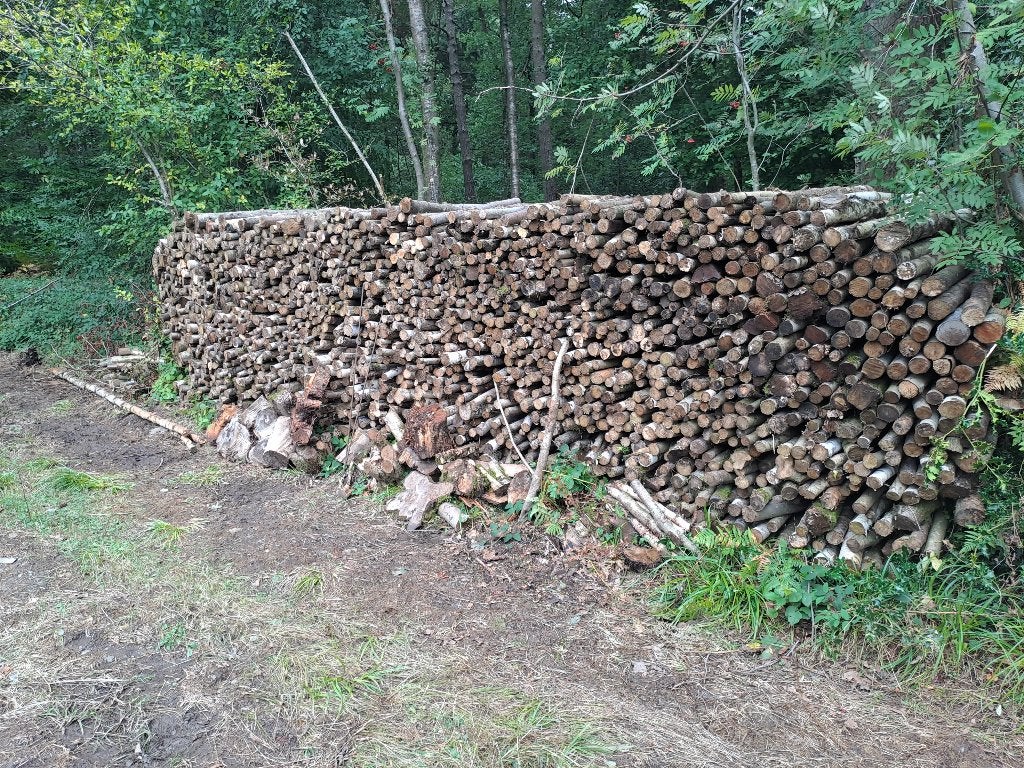Bois de chauffage, 6 m³ ou plus, Enlèvement ou Envoi, Autres essences de bois, Bûches