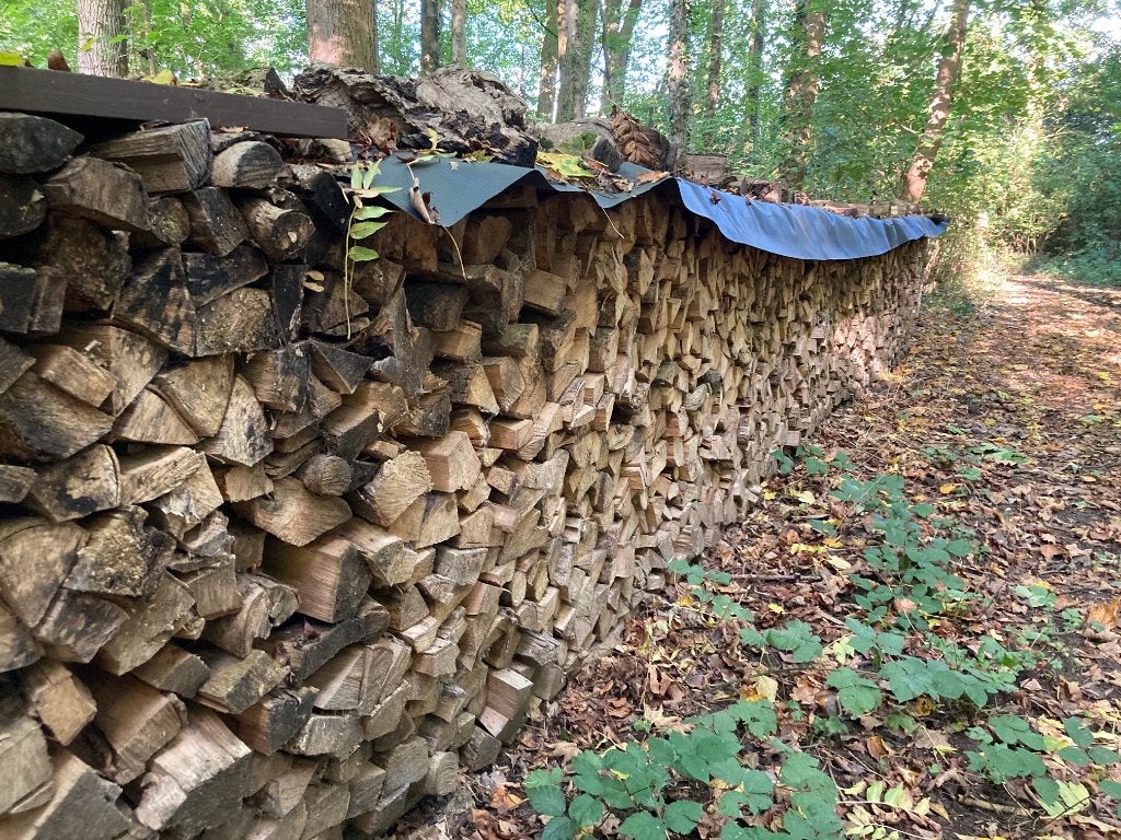 bois à vendre, Jardin & Terrasse, 6 m³ ou plus, Enlèvement, Autres essences de bois, Bûches