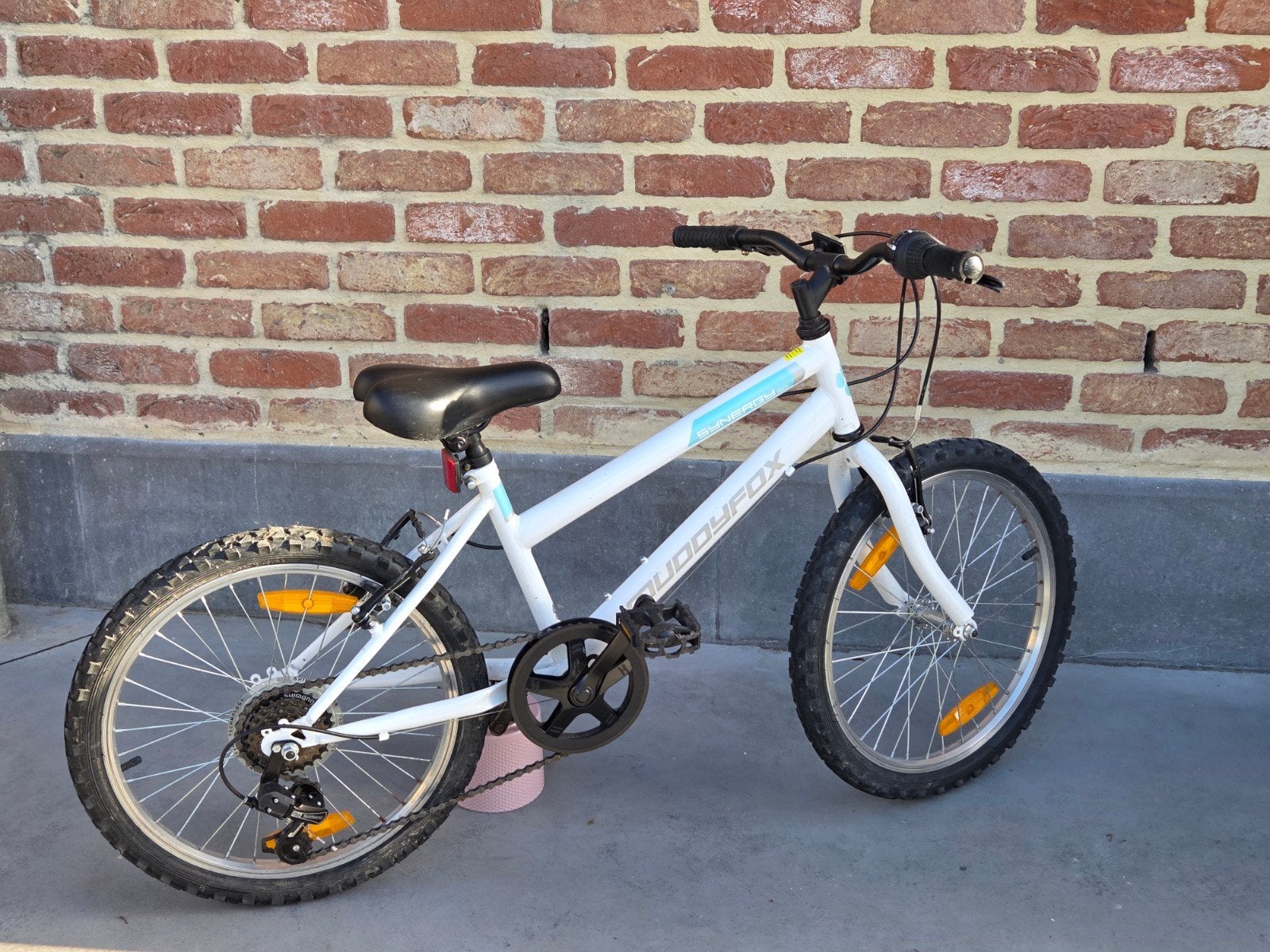 Vélo enfant 20 pouces (6-9 ans), Enlèvement, Utilisé