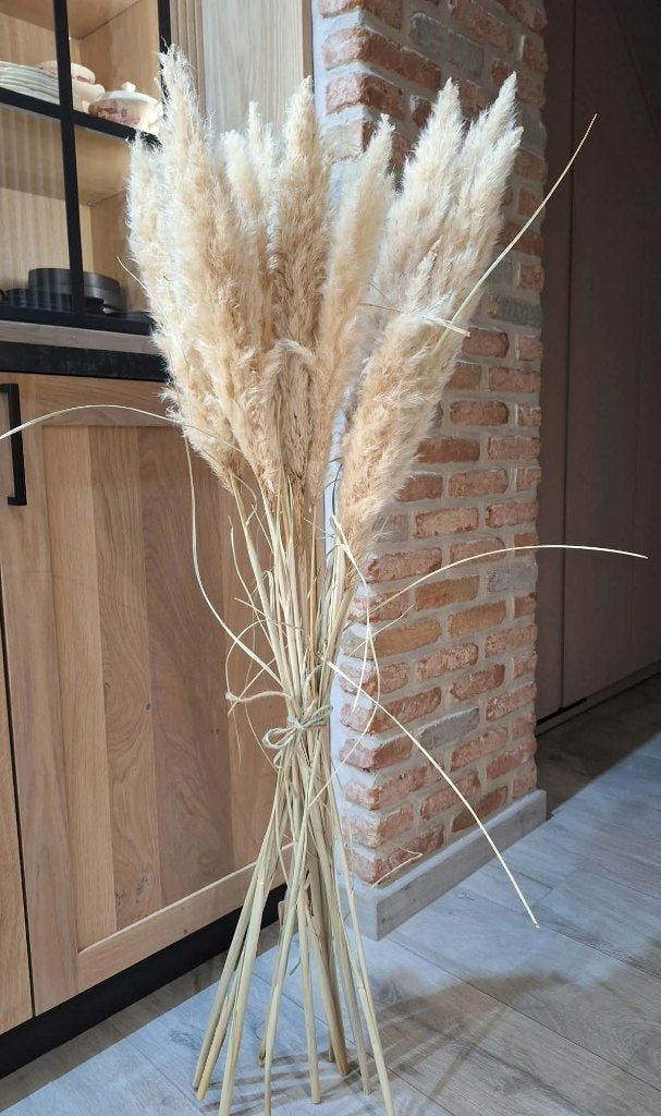 Bundel lange Pampas pluimen, Ophalen, Nieuw