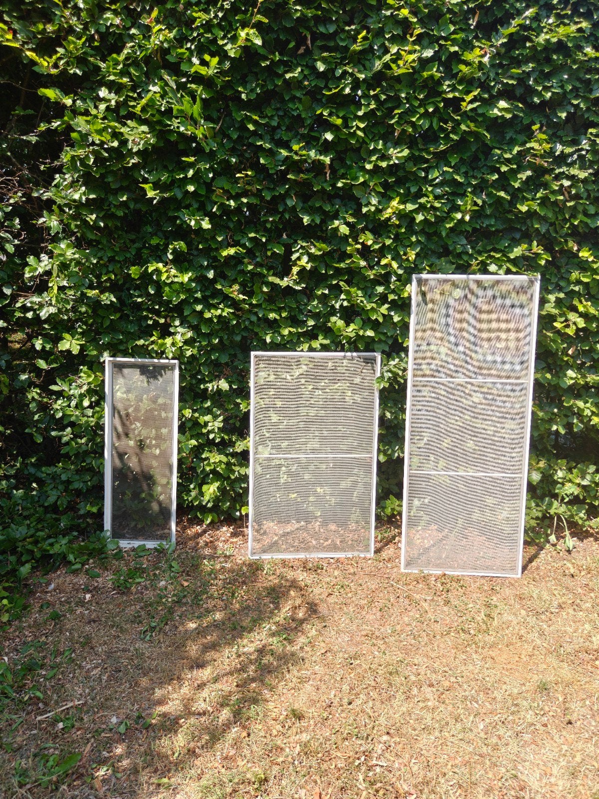Moustiquaire, Enlèvement