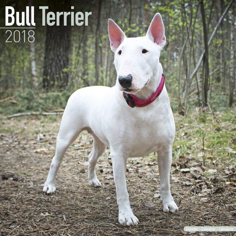Bull Terrier-kalender 2018, Ophalen of Verzenden, Jaarkalender, Nieuw
